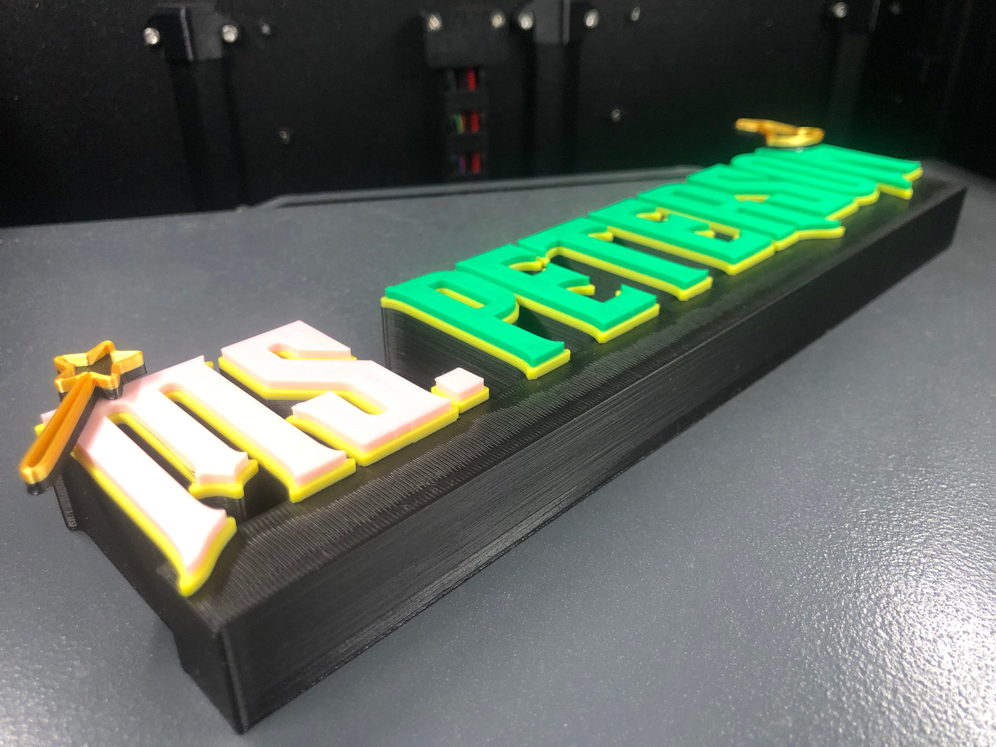 3d Printed Witches of Oz Inspired Name Plate I Personalized Desk Sign I Office Gift I Her His Gift I Display I Dorothy I Wicked West I Gold